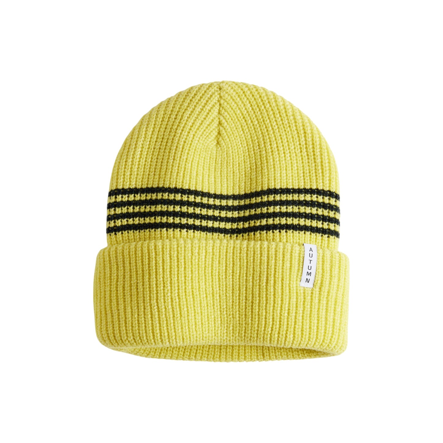 Autumn Beanie - Mini Stripe Youth - Acid